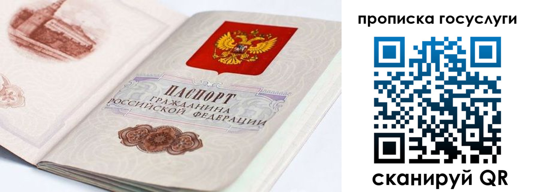 прописка гарантия в Черепаново